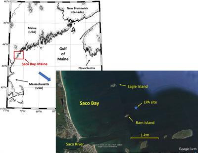 Mooring tension assessment of a single line kelp farm with quantified biomass, waves, and currents